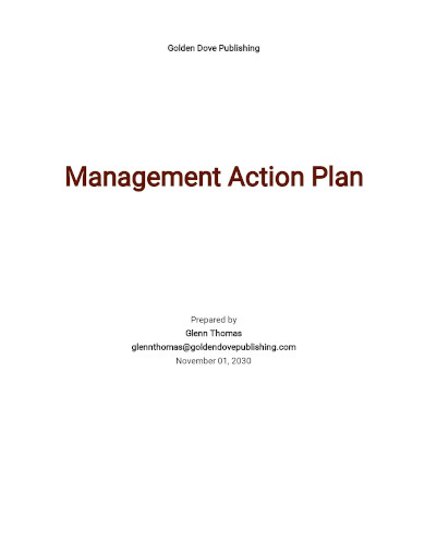 management action plan1