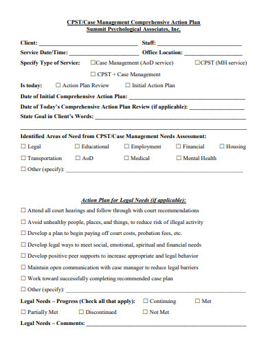 management comprehensive action plan