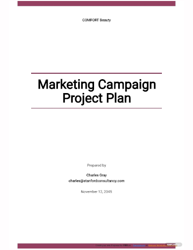 FREE 7+ Campaign Project Plan Samples in MS Word | Google Docs | Apple ...