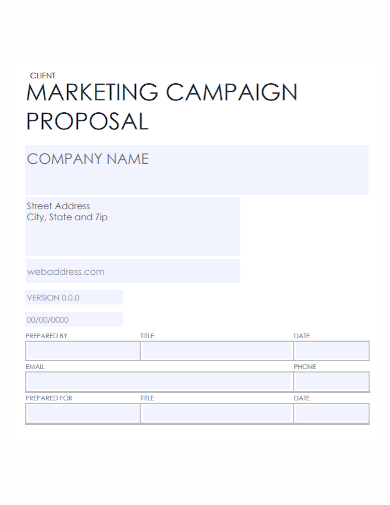 marketing client campaign proposal