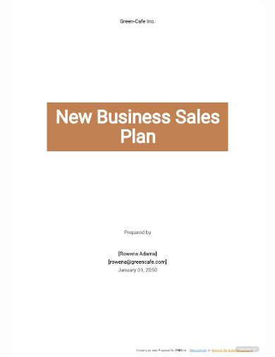 new business sales plan template