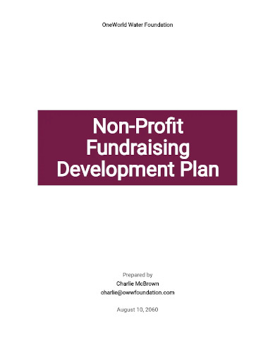 nonprofit fundraising development plan