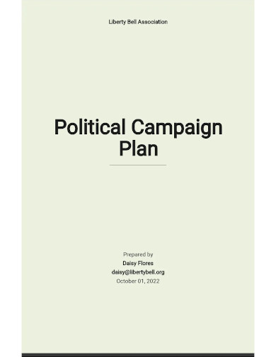 political campaign plan