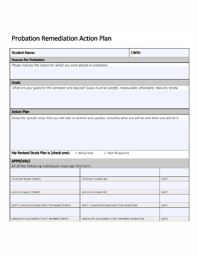 probation remediation action plan