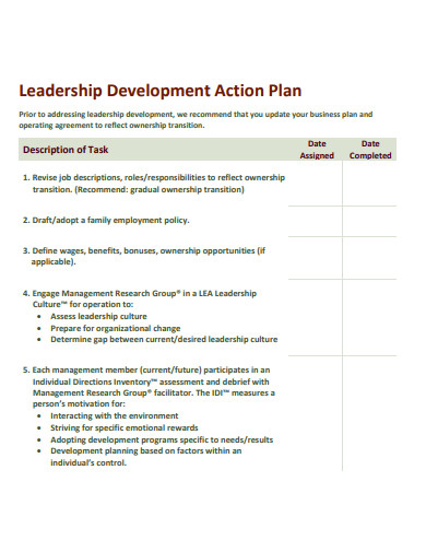professional leadership development action plan