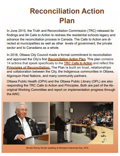 professional reconciliation action plan