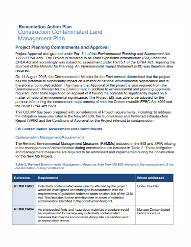 project assessment management remediation plan