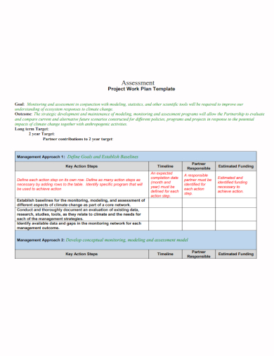 project assessment work plan