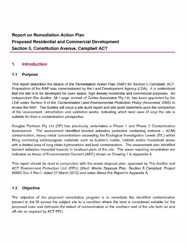 remediation development action plan