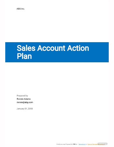 sales account action plan template