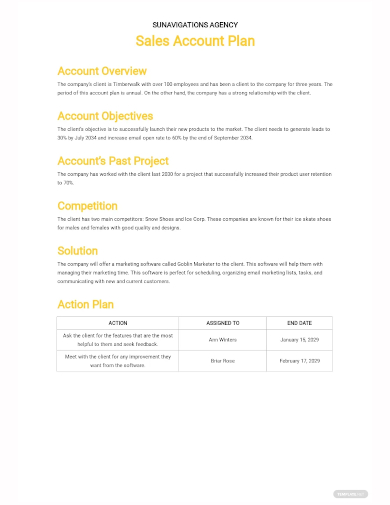 sales account plan template