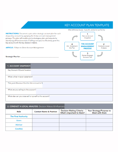 sales association account plan