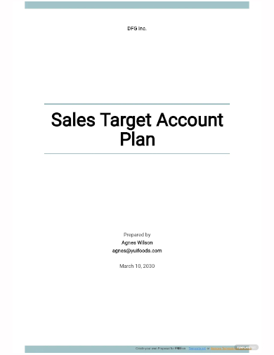 sales target account plan template