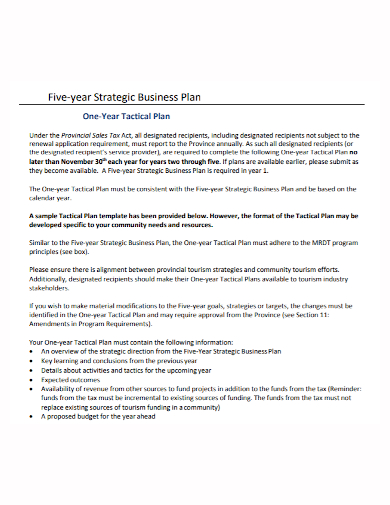 sample 5 year business plan