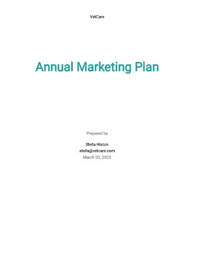sample annual marketing plan