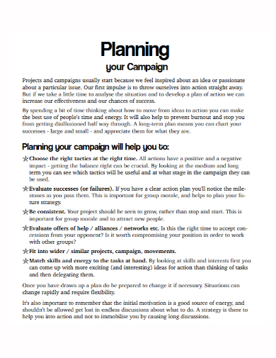 sample campaign project plan