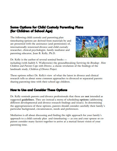 sample child custody and parenting plan