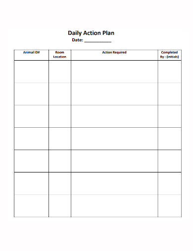 sample daily action plan