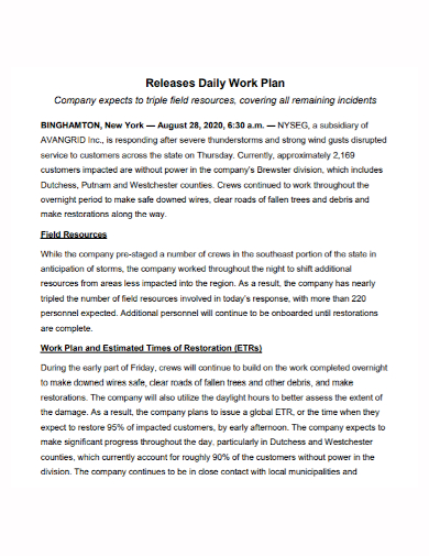 FREE 10+ Daily Work Plan Samples in MS Word | Google Docs | Apple Pages ...