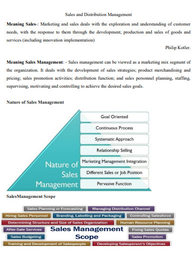 sample distribution sales management plan