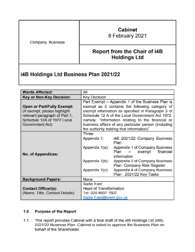 sample holding company business plan