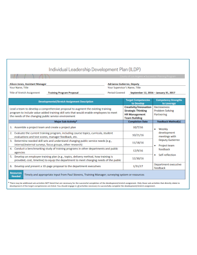 sample individual leadership development plan