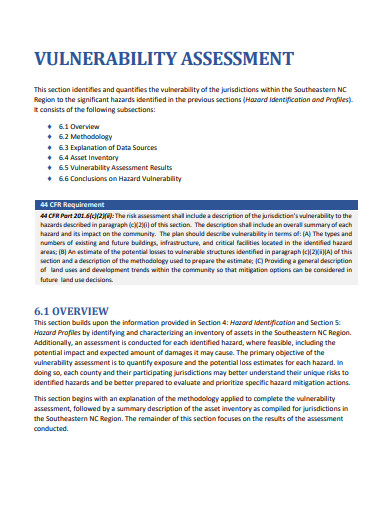 simple vulnerability assessment plan