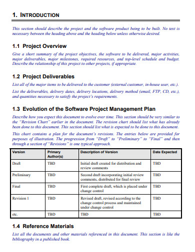 software development and management plan