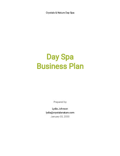 spa business plan overview