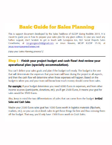 standard basic sales plan