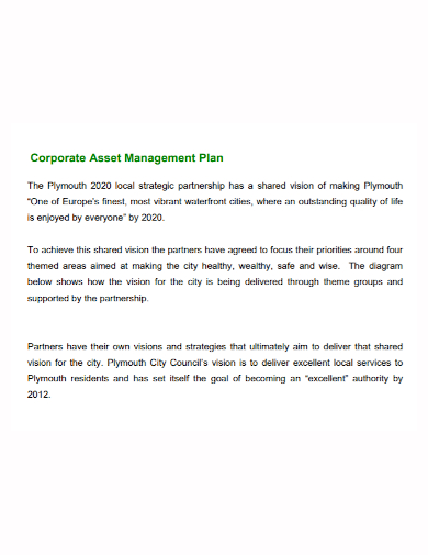 standard corporate asset management plan