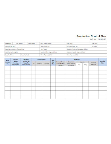 standard production control plan