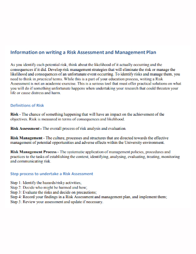 standard risk assessment plan