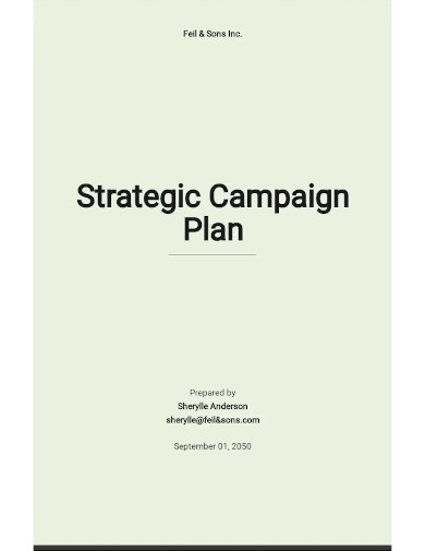 strategic campaign plan