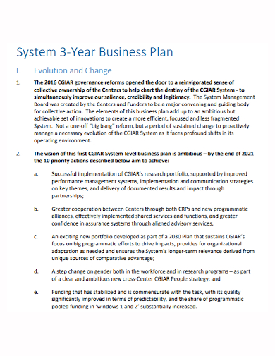 system 3 year business plan