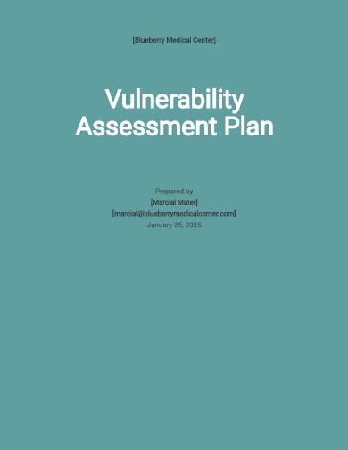 vulnerability assessment plan