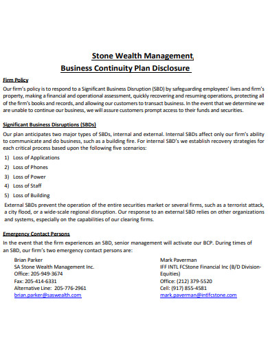 wealth management business plan example