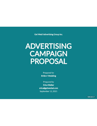 advertising campaign proposal