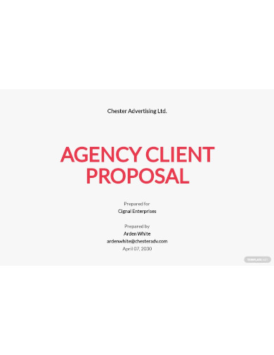 agency proposal to client