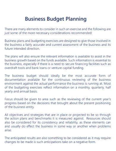 annual basis business budget planning