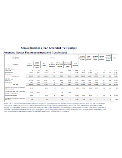 annual business amended budget