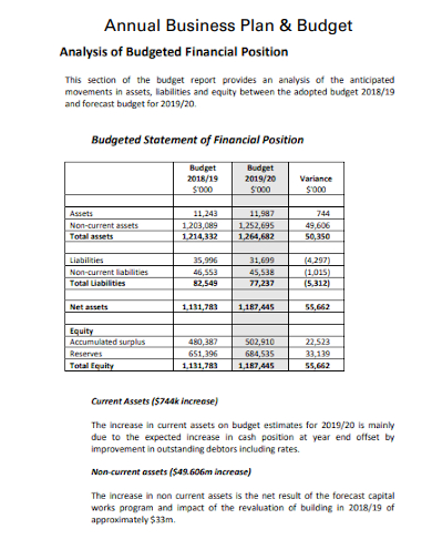 annual business plan budget analysis