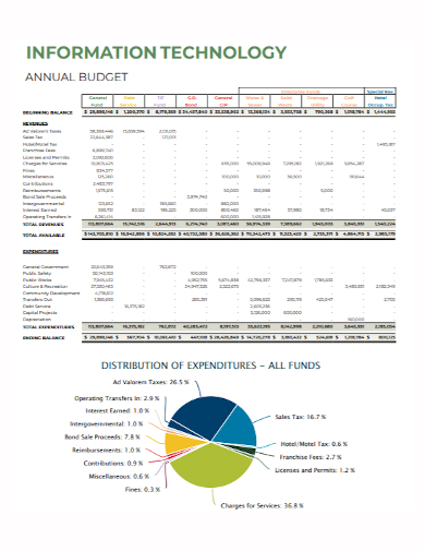 annual it budget