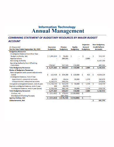 annual management it budget