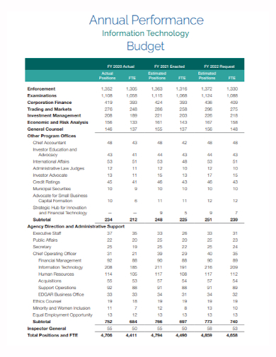 annual performance it budget