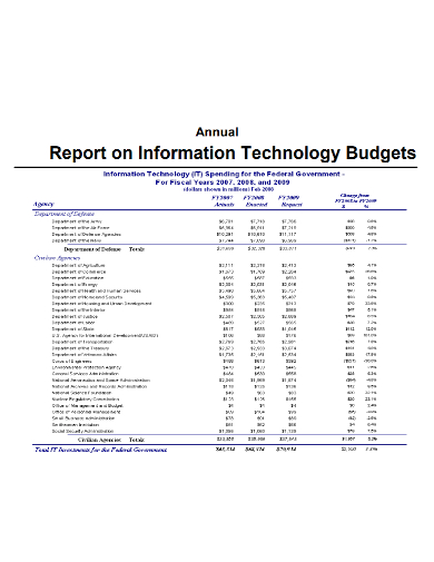 annual report it budget