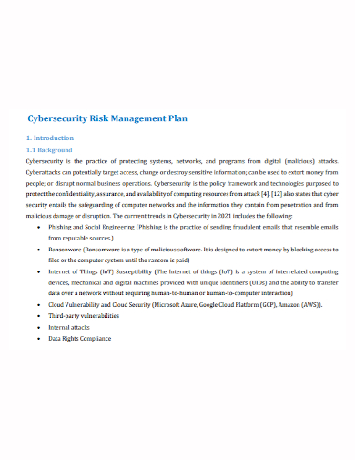 basic security risk management plan