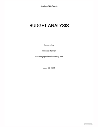 budget analysis template