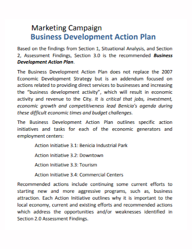 business development campaign action plan