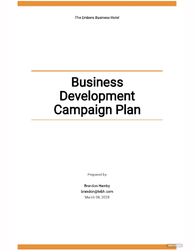 business development campaign plan template